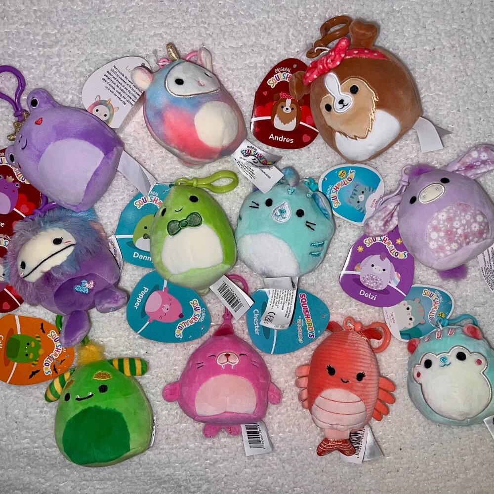 11 NWT Squishmallow Clips Bundle